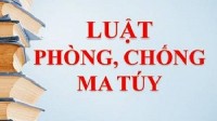 Thể lệ cuộc thi 'Tìm hiểu Luật Phòng, chống ma túy'