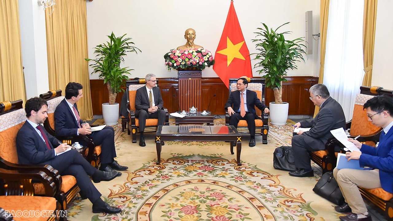 Pháp sẽ tích cực hỗ trợ Việt Nam trong phát triển năng lượng tái tạo Pháp sẽ tích cực hỗ trợ Việt Nam trong phát triển năng lượng tái tạo