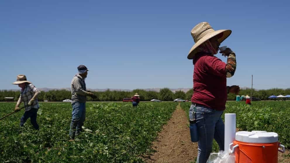 Nắng nóng cực độ bao trùm miền Tây và Nam nước Mỹ, khả năng tiếp tục lập 'đỉnh cao mới'