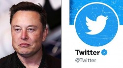 Twitter tiếp tục gặp khó, doanh thu quảng cáo giảm một nửa