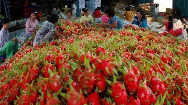 xuat khau ngay 14167 thuy sy bat ngo tang mua ca phe tu viet nam xuat khau rau qua 7 thang du bao vuot ca nam 2022