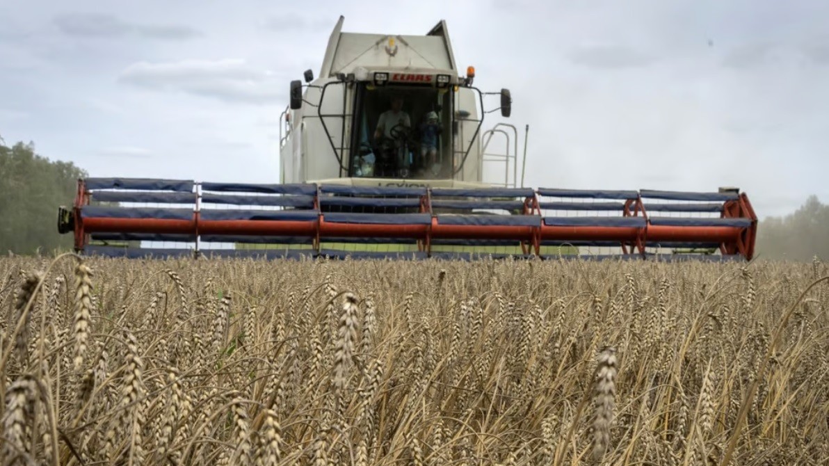 sang kien ngu coc bien den sup do tuong lai nao cho thi truong luong thuc toan cau