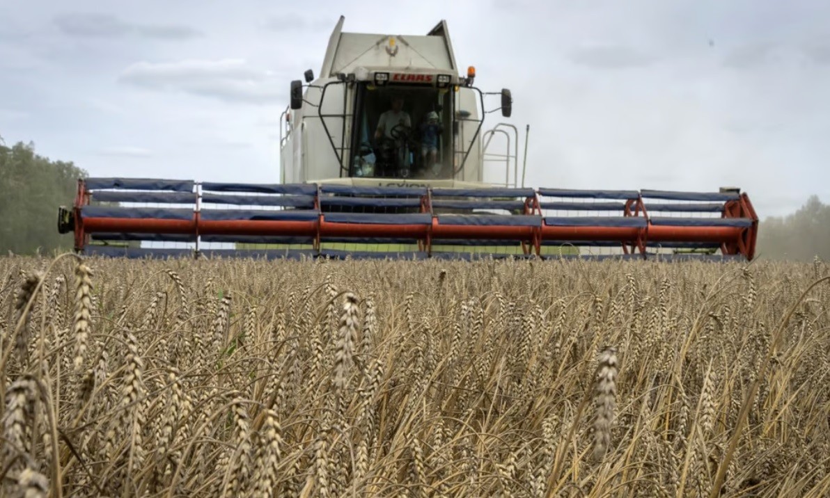 Thổ Nhĩ Kỳ đảm bảo điều này với các tàu từ cảng Ukraine, nghiên cứu 3 kịch bản về thỏa thuận ngũ cốc Thổ Nhĩ Kỳ đảm bảo điều này với các tàu từ cảng Ukraine, nghiên cứu 3 kịch bản về thỏa thuận ngũ cốc