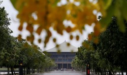 'Chiều lòng' IMF, Quốc hội Sri Lanka làm việc này...