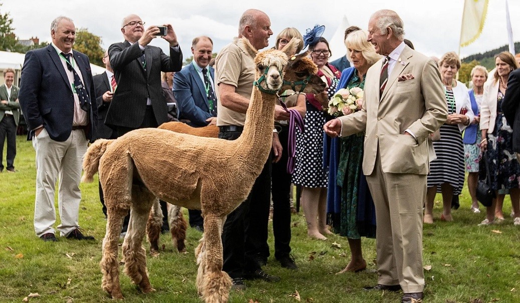 Ảnh ấn tượng (17-23/7): Tổng thống Nga nói Ukraine tấn công cầu Crimea là ‘vô nghĩa’; pháo huyền thoại khai hỏa ở Donetsk, ‘nóng’ vụ đốt kinh Koran