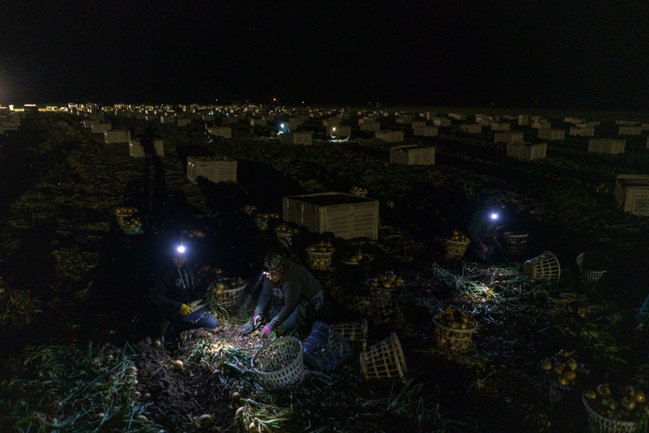 Ảnh ấn tượng (17 23/7): Dọa trả đũa, Tổng thống Nga nói Ukraine tấn công cầu Crimea là ‘vô nghĩa’; pháo huyền thoại khai hỏa ở Donetsk, ‘nóng’ vụ đốt