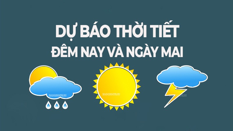 Dự báo thời tiết tối hôm nay và ngày mai (7/8): Bắc Bộ, Thanh Hóa, Nghệ An đêm và sáng, mưa vừa, mưa to, cục bộ mưa rất to, chiều mưa lớn giảm dần