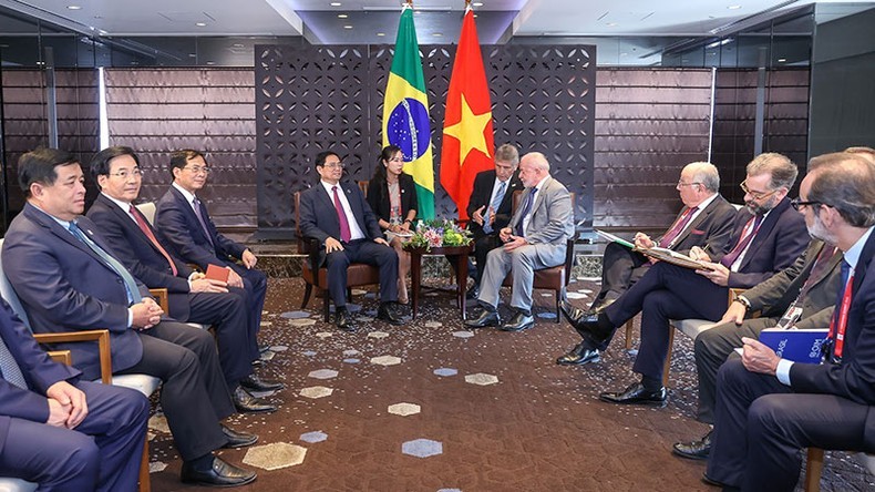 Về chính sách 'Ngoại giao cây tre Việt Nam'