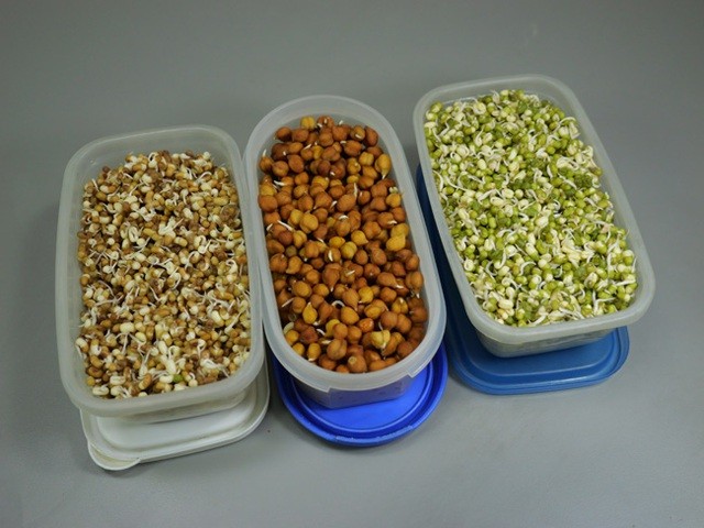 Những người ăn kiêng thuần chay thô không ăn bất kỳ sản phẩm động vật nào và chỉ tiêu thụ thực phẩm không được làm nóng trên 48 độ C. (Nguồn: SK&ĐS) Những người ăn kiêng thuần chay thô không ăn bất kỳ sản phẩm động vật nào và chỉ tiêu thụ thực phẩm không được làm nóng trên 48 độ C. (Nguồn: SK&ĐS)