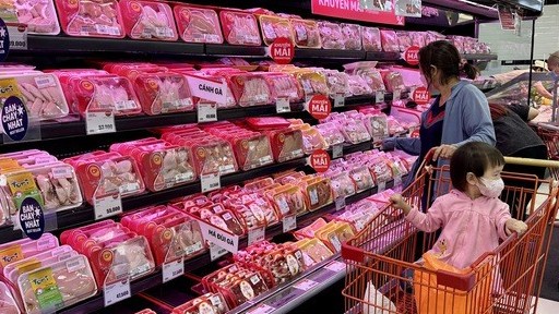 gia heo hoi hom nay 68 bien dong trai chieu tai mien bac mien nam tang giam khong dong nhat