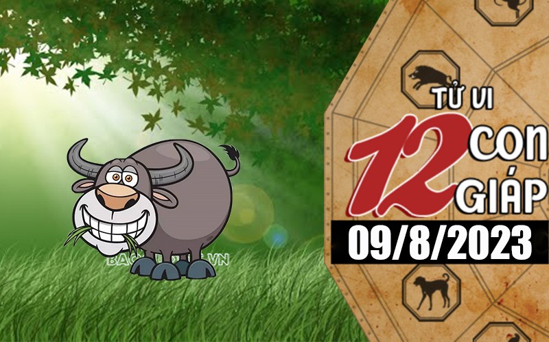 Tử vi hôm nay, xem tử vi 12 con giáp hôm nay ngày 9/8/2023: Tuổi Sửu chủ động kiếm tiền