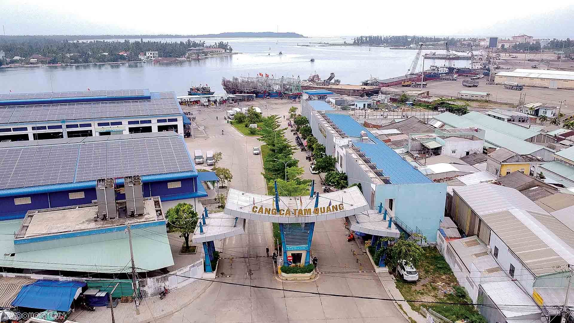 Để ngư dân mạnh dạn vươn biển xa