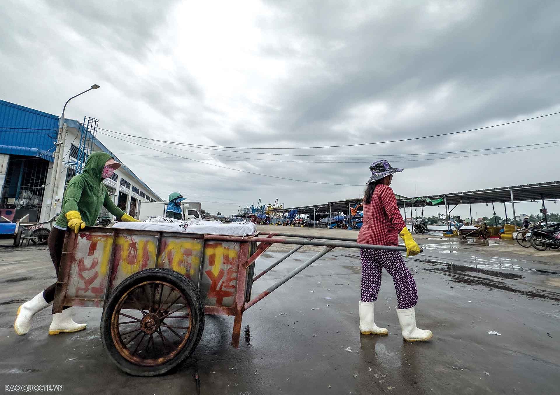 Để ngư dân mạnh dạn vươn biển xa