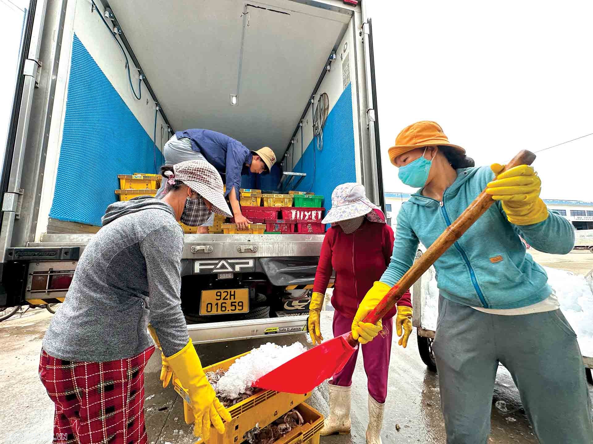 Để ngư dân mạnh dạn vươn biển xa