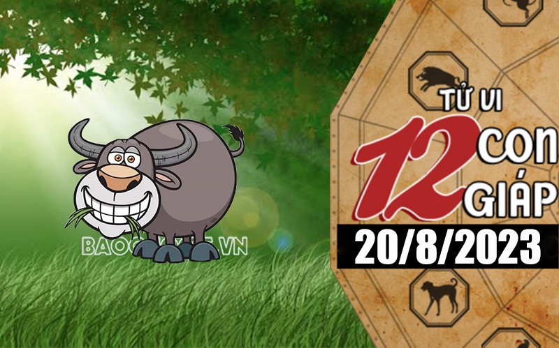 Tử vi hôm nay, xem tử vi 12 con giáp hôm nay ngày 20/8/2023: Tuổi Sửu cải thiện đời sống