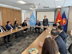 Phái đoàn Việt Nam tại Liên hợp quốc đón và làm việc với đoàn đại biểu thành phố Hà Nội