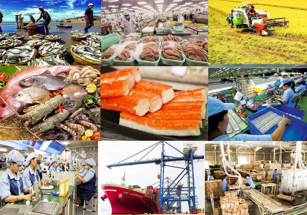 Đại sứ Phạm Vinh Quang: Nhiều dư địa cho hợp tác song phương Việt Nam – Canada