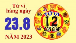 Tử vi hôm nay, xem tử vi 12 con giáp hôm nay ngày 23/8/2023: Tuổi Thân tài lộc nhiều thuận lợi