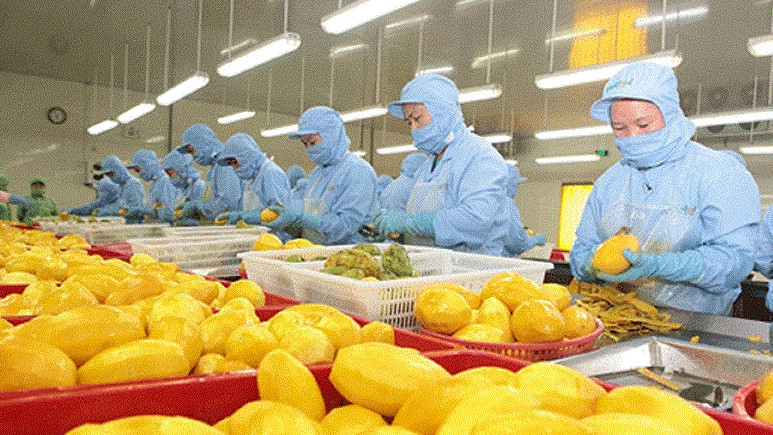 trung quoc khong tiec tien san sang chi 2 ty usd de mua mat hang nay tu viet nam