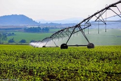 Để doanh nghiệp xây dựng thương hiệu xanh gắn với phát triển bền vững