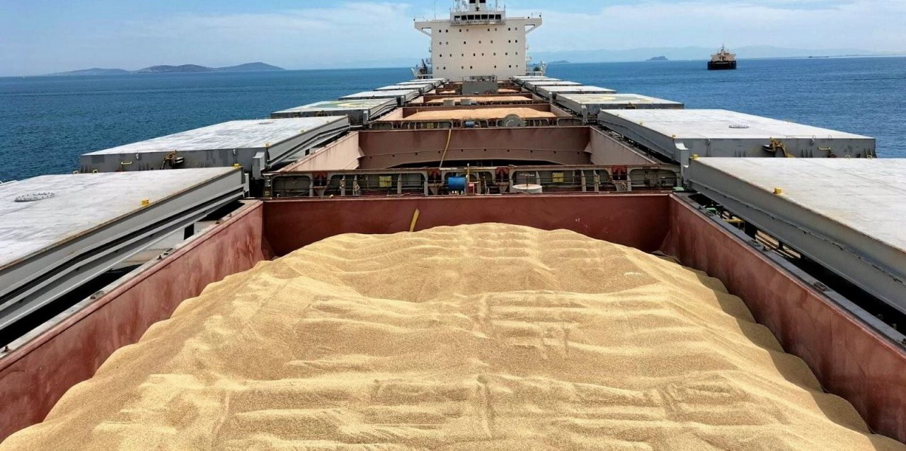 (08.26) EU tiếp tục kêu gọi Nga nối lại Sáng kiến Ngũ cốc Biển Đen. (Nguồn: Liên hợp quốc) (08.26) EU tiếp tục kêu gọi Nga nối lại Sáng kiến Ngũ cốc Biển Đen. (Nguồn: Liên hợp quốc)