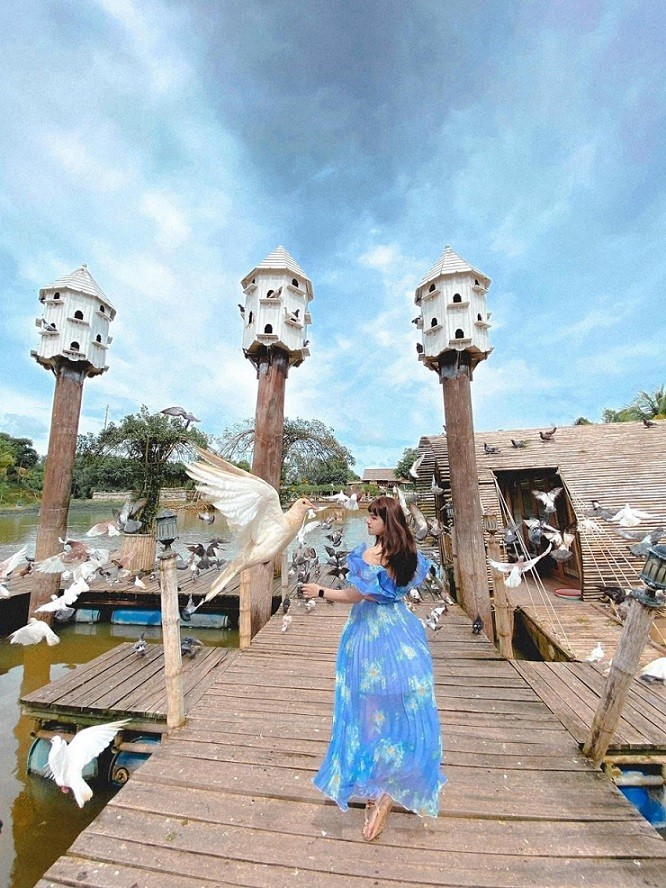 Du khách tại vườn bồ câu thơ mộng Du khách tại vườn bồ câu thơ mộng