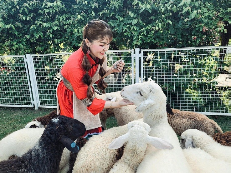 Tựa như Người chăn cừu trên đồng cỏ Khả Khắc Thác Hải (Koktokay) Tựa như Người chăn cừu trên đồng cỏ Khả Khắc Thác Hải (Koktokay)