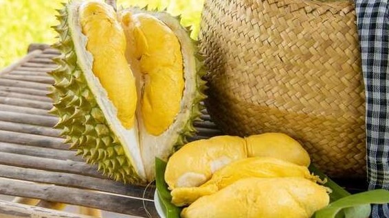 xuat khau ngay 25278 mot mat hang tu kim ngach khong dang ke den dung dau ve xuat khau det may ngong tin hieu tu thi truong my