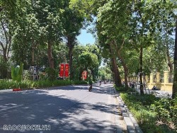 Dự báo: Diễn biến bão Saola trên Biển Đông không gây ảnh hưởng xấu đến thời tiết đất liền dịp nghỉ lễ 2/9