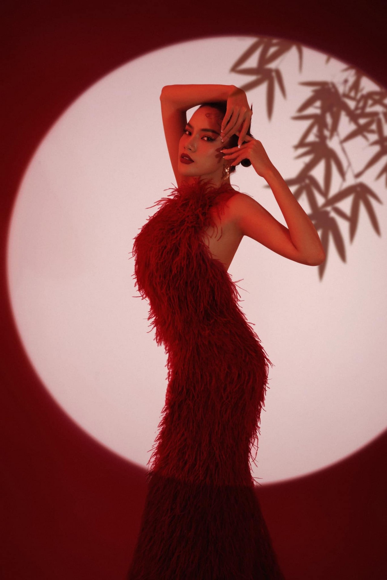 Hoa hậu Lê Hoàng Phương