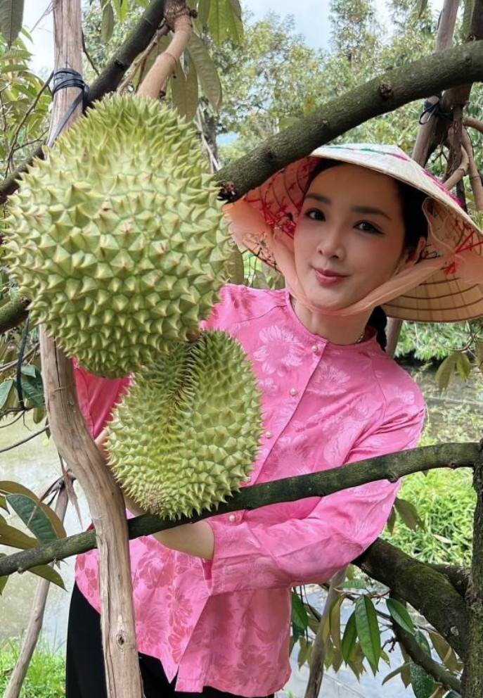 Sao Việt: Sao Việt: