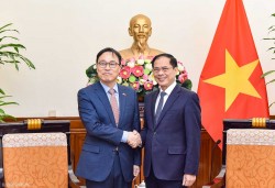 Bộ trưởng Ngoại giao Bùi Thanh Sơn tiếp Đại sứ Hàn Quốc Choi Young Sam