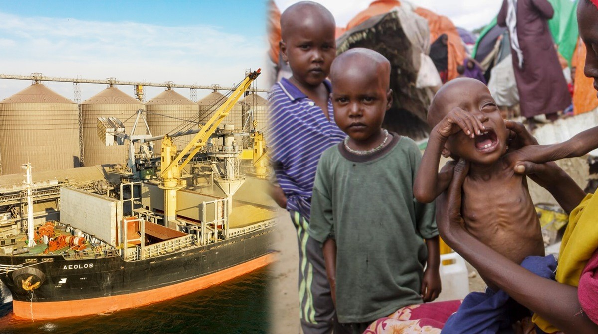 Khi ngũ cốc là một loại ‘vũ khí’ đa năng, câu chuyện của thế giới và Việt Nam