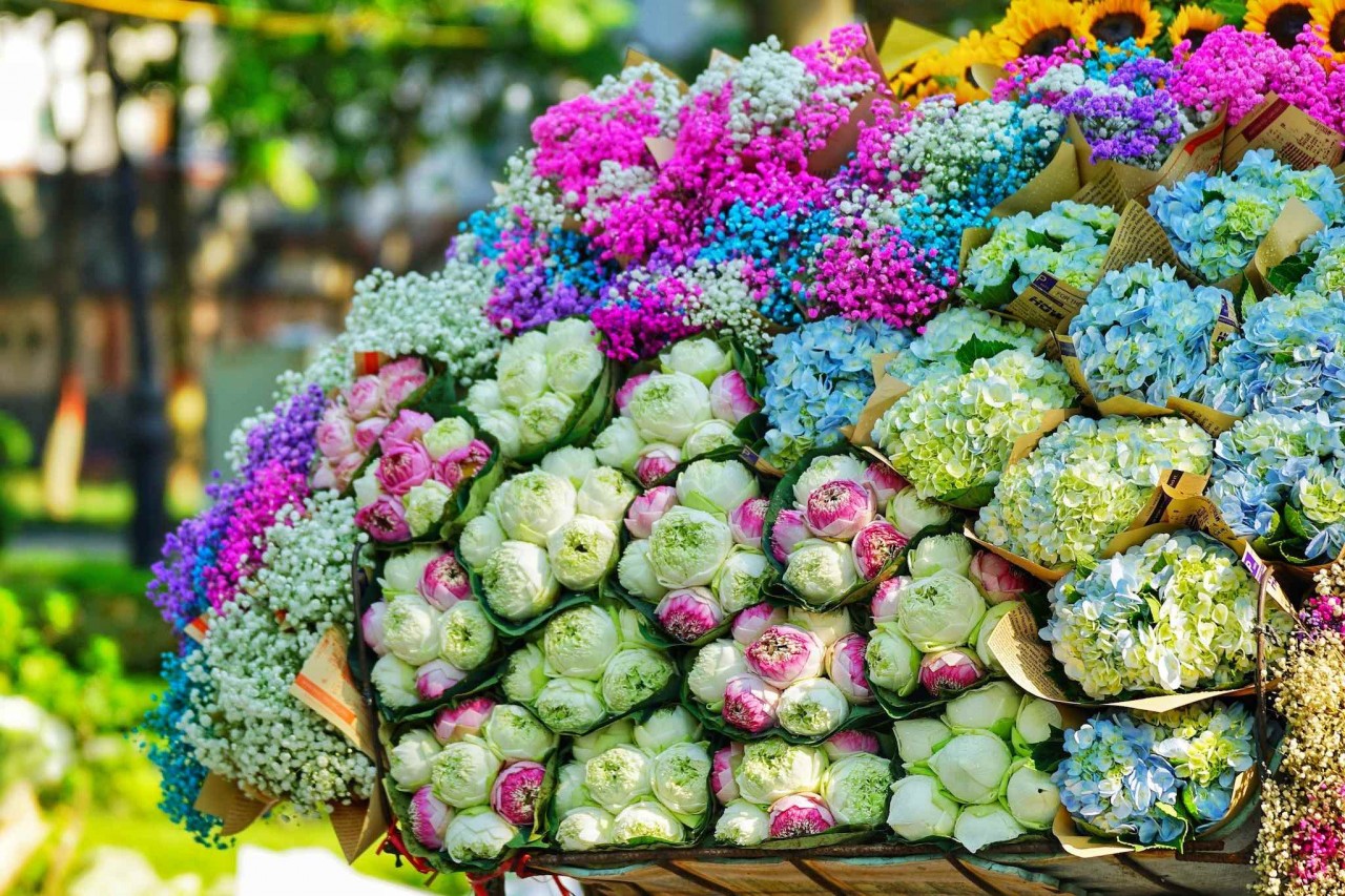 Giới trẻ đua nhau chụp ảnh cùng xe bán hoa đón mùa Thu Hà Nội