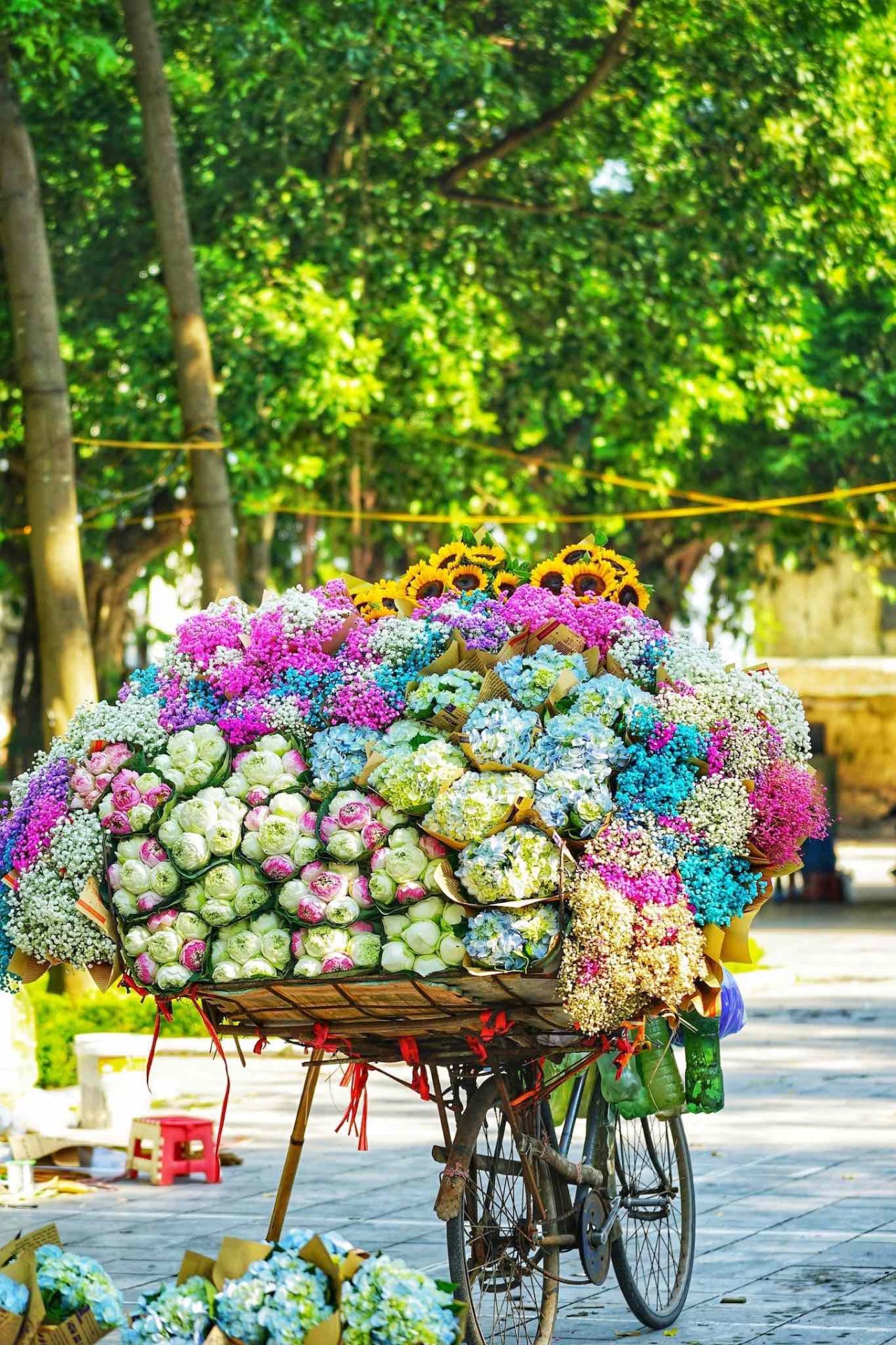 Giới trẻ đua nhau chụp ảnh cùng xe bán hoa đón mùa Thu Hà Nội