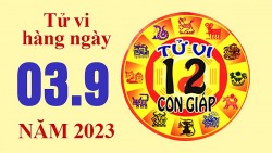 Tử vi hôm nay, xem tử vi 12 con giáp hôm nay ngày 3/9/2023: Tuổi Hợi tăng tiền tiết kiệm