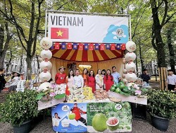 Đại sứ quán Việt Nam tại Hà Lan tham gia Embassy Festival 2023