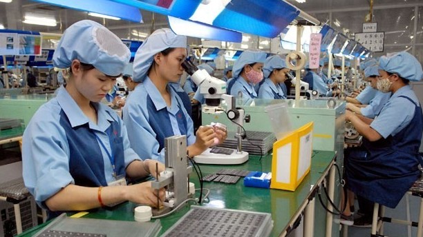 xuat khau ngay 139 sau rieng viet dang co loi the mot minh mot cho mat hang nao tang truong 3 con so sang thi truong an do