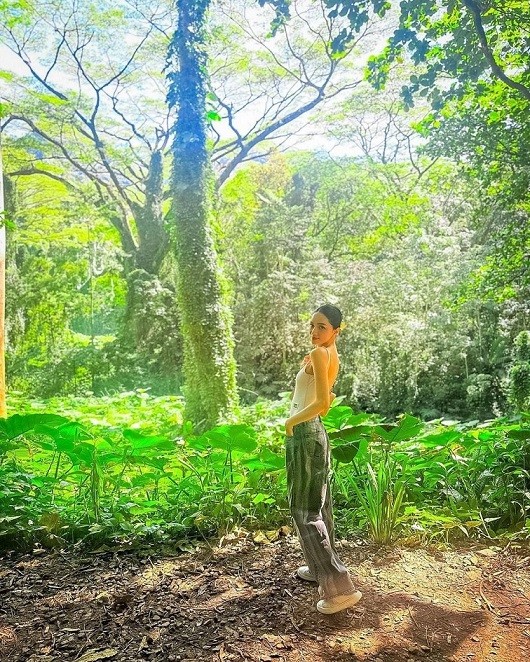 Hoa hậu Hương Giang