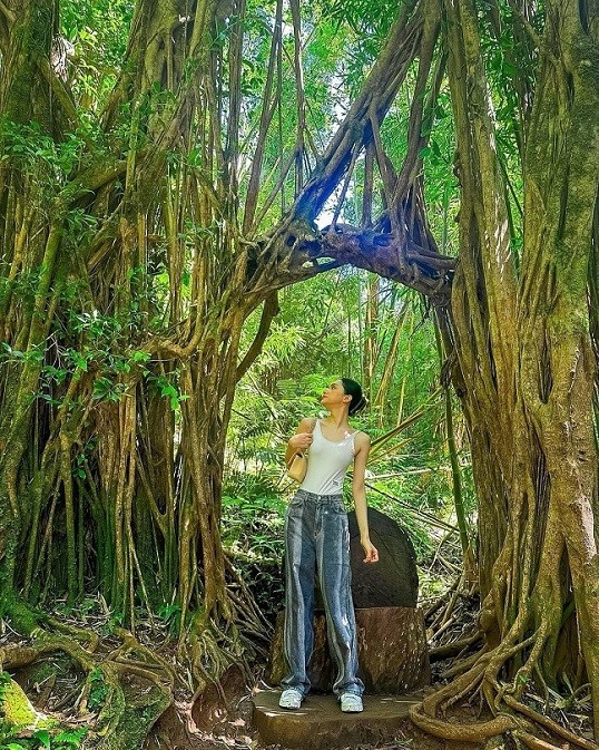 Hoa hậu Hương Giang