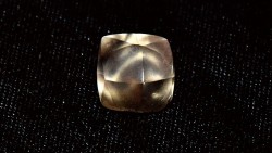 Đi chơi công viên, bé gái 7 tuổi bất ngờ nhặt được viên kim cương màu nâu