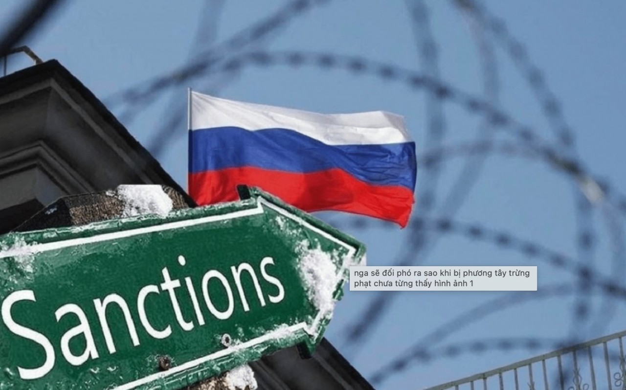 zpcsrl.
