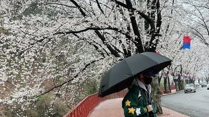 hoi quan cung doi tuyen viet nam tien dao van toan tam su ve cuoc song o han quoc