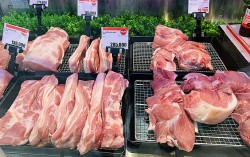 Giá heo hơi hôm nay 16/9: Giá heo hơi đi ngang, sức mua trên thị trường không cao