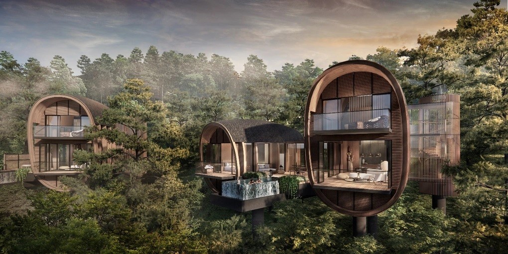 Tree Top Villa, phòng khách sạn cao cấp độc đáo trên cây, lần đầu được giới thiệu. (Nguồn: BIM Land). Tree Top Villa, phòng khách sạn cao cấp độc đáo trên cây, lần đầu được giới thiệu. (Nguồn: BIM Land).
