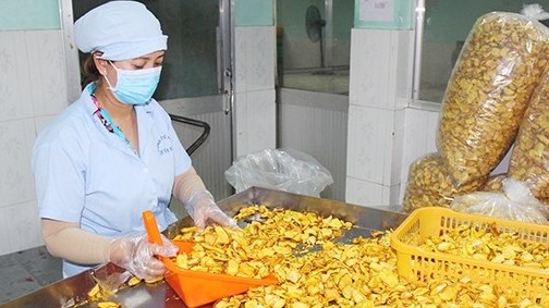 mo duong cho nong san thuc pham che bien viet vao he thong phan phoi nuoc ngoai