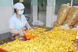 Mở đường cho nông sản, thực phẩm chế biến Việt vào hệ thống phân phối nước ngoài