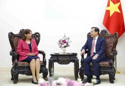 Tăng cường quan hệ hữu nghị truyền thống đặc biệt Việt Nam-Cuba