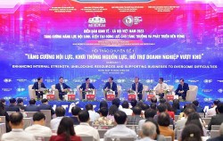 PGS.TS. Trần Đình Thiên: Doanh nghiệp Việt Nam giỏi chống chịu, 'sống dai' nhưng 'chậm lớn'