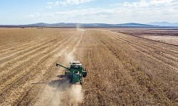 Sau dầu mỏ và khí đốt, đây chính là lĩnh vực giúp Nga 'hốt bạc'